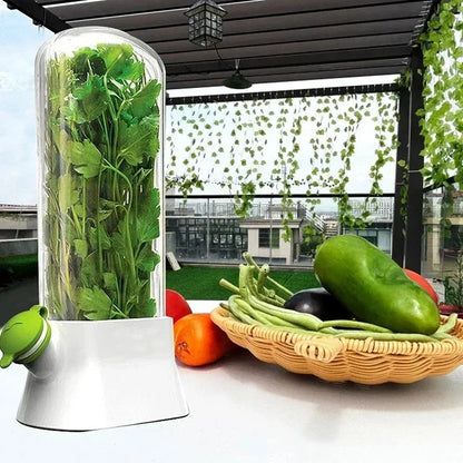 Storage Bottles Fresh Herb Keeper Vanilla Vegetables FreshGuard™Fresh