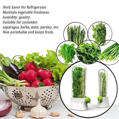 Storage Bottles Fresh Herb Keeper Vanilla Vegetables FreshGuard™Fresh